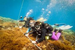 Gozo scuba diving holiday. Beginners dive course.